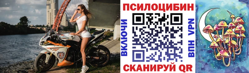 купить   Красный Кут  Псилоцибиновые грибы ЛСД 